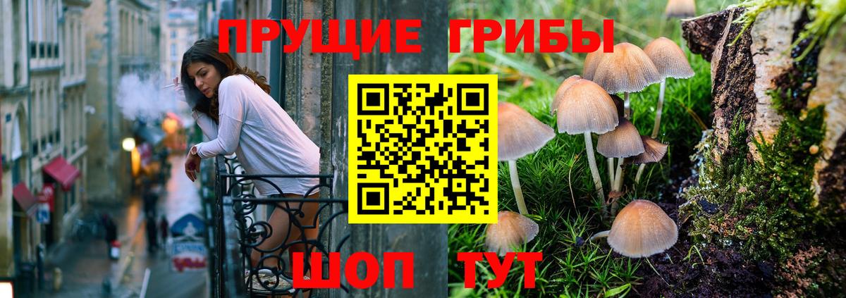 Галлюциногенные грибы мухоморы  Вход с VPN  Мариинск 